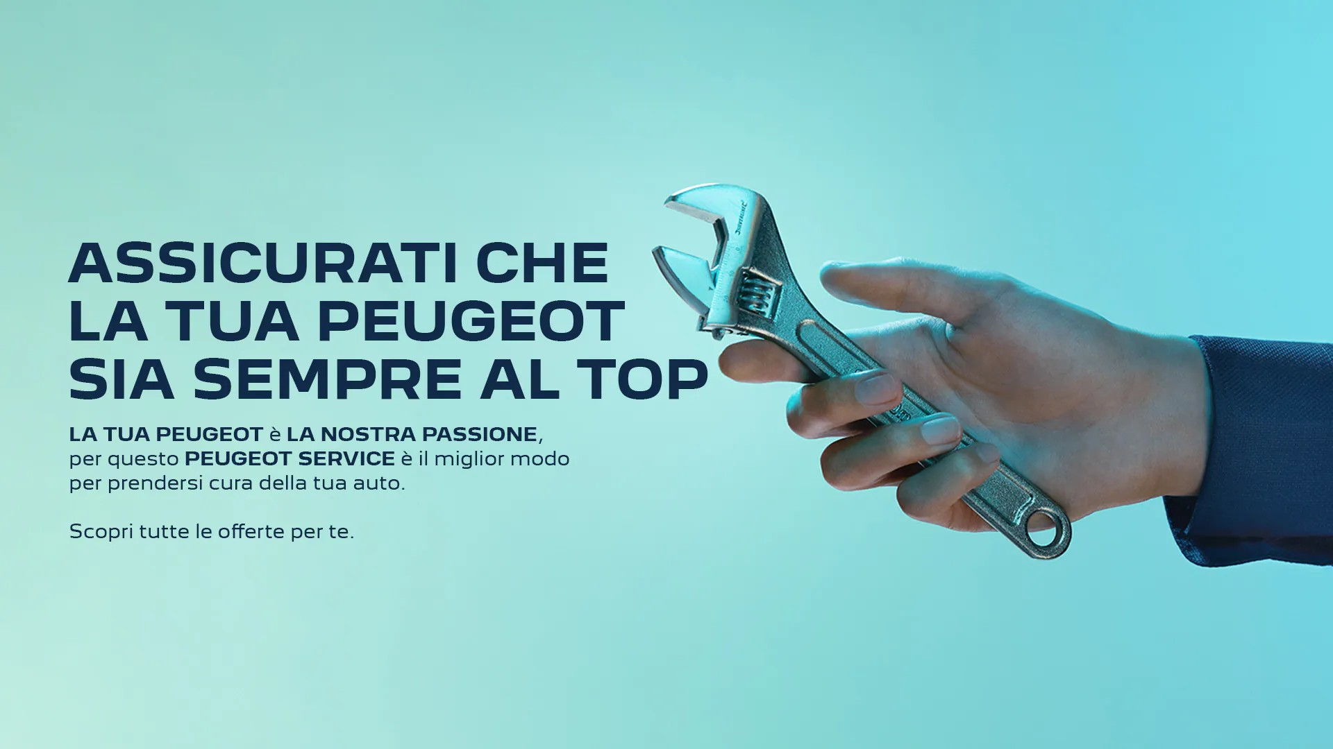 Manutenzione Peugeot